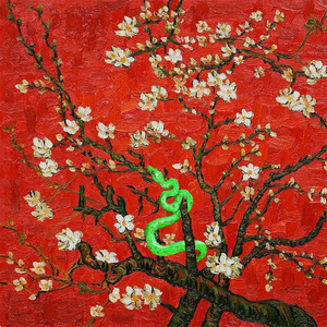 小黄书纯肉高H啪学生软件
